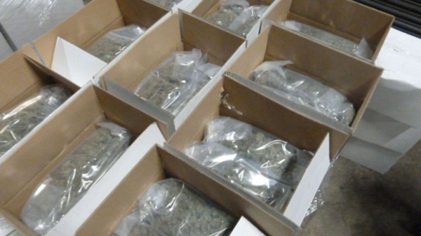 Dutch smugglers used gone-off pizza cheese to hide £5m cannabis stash
Dutch smugglers used gone-off pizza cheese to hide £5m cannabis stash